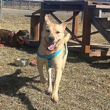 Maggie