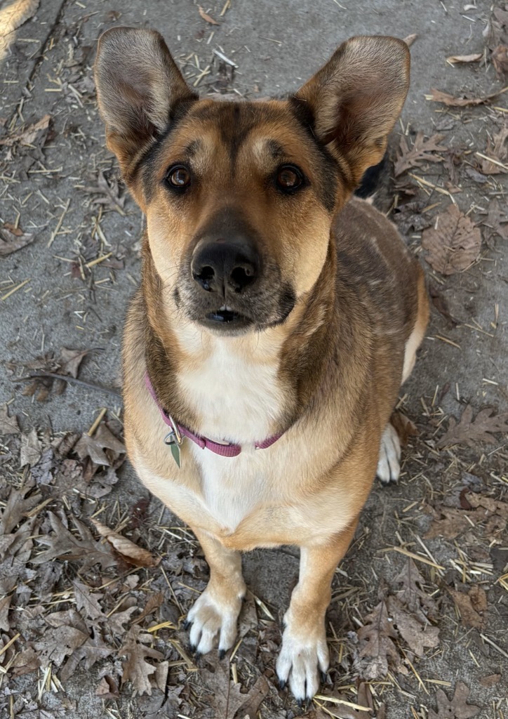 Josie