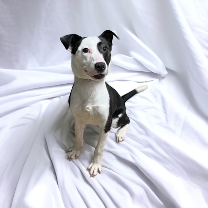Ella
