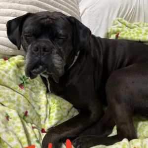 Folgers, Senior Male unknown