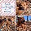 2025-02-142 *Ruthie* photo 1