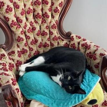 Kiki