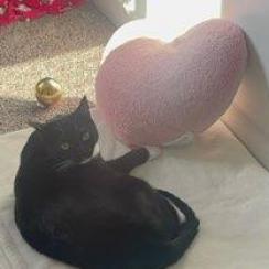 Kiki