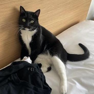 Kiki