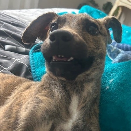 Miss Girl