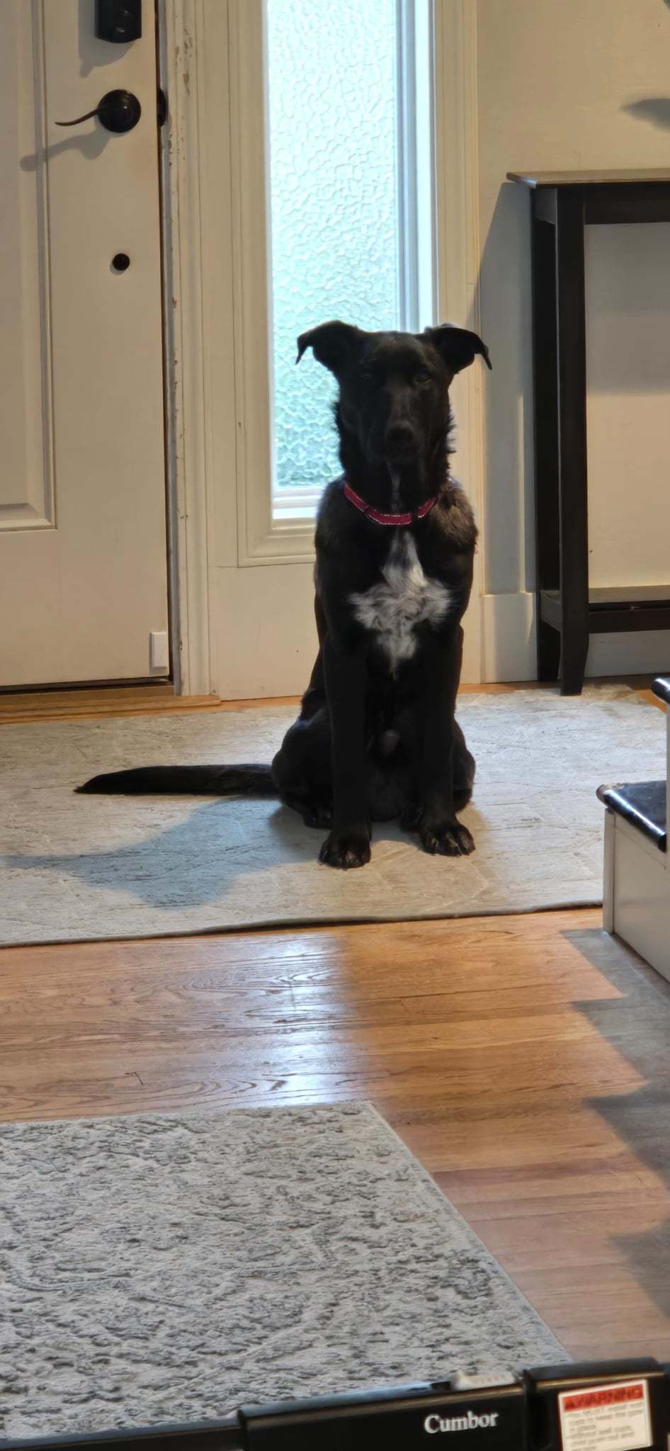 Watson