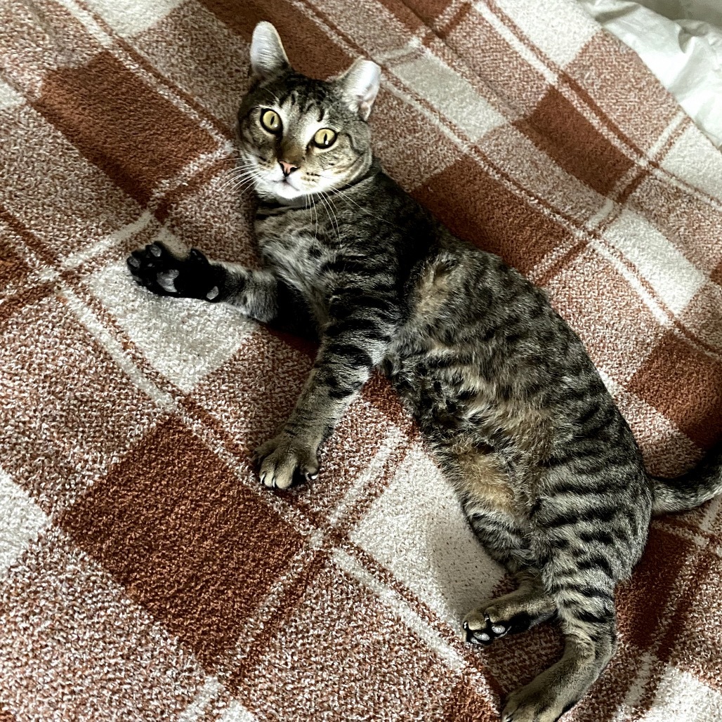 Murphy