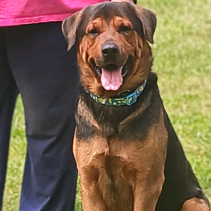 Barney (Jabbar)
