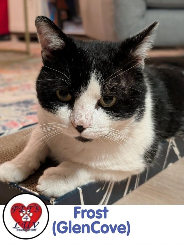 Frost Glencove photo 1