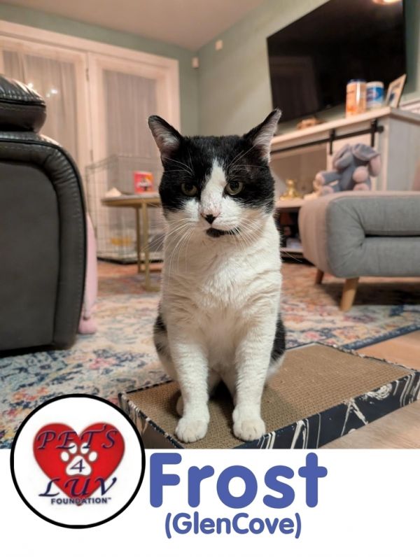 Frost Glencove thumbnail 2