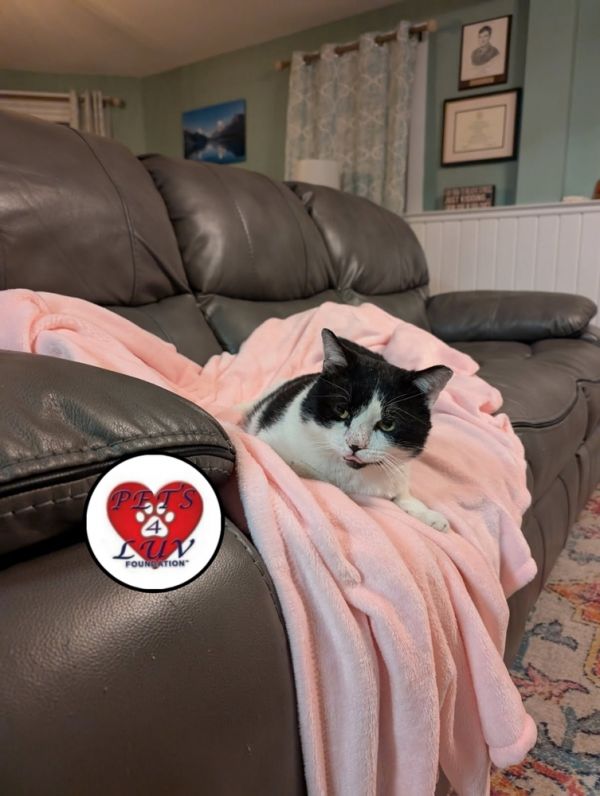 Frost Glencove thumbnail 3