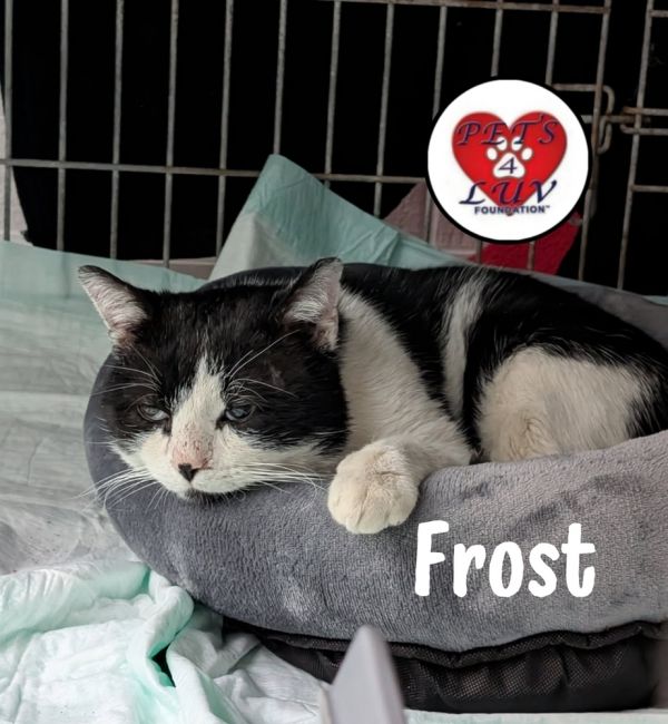 Frost Glencove thumbnail 4