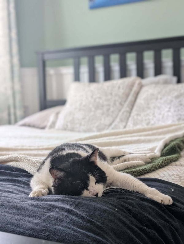 Frost Glencove thumbnail 5