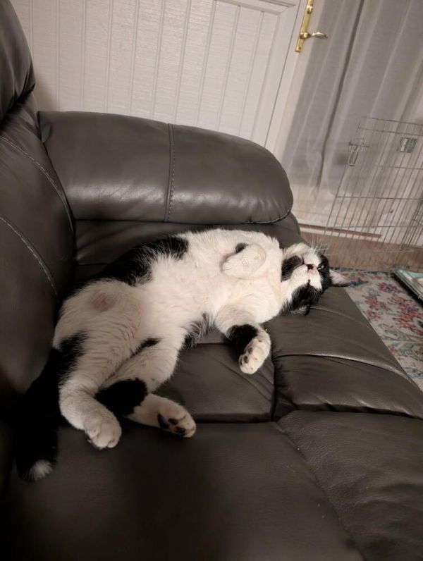 Frost Glencove thumbnail 6