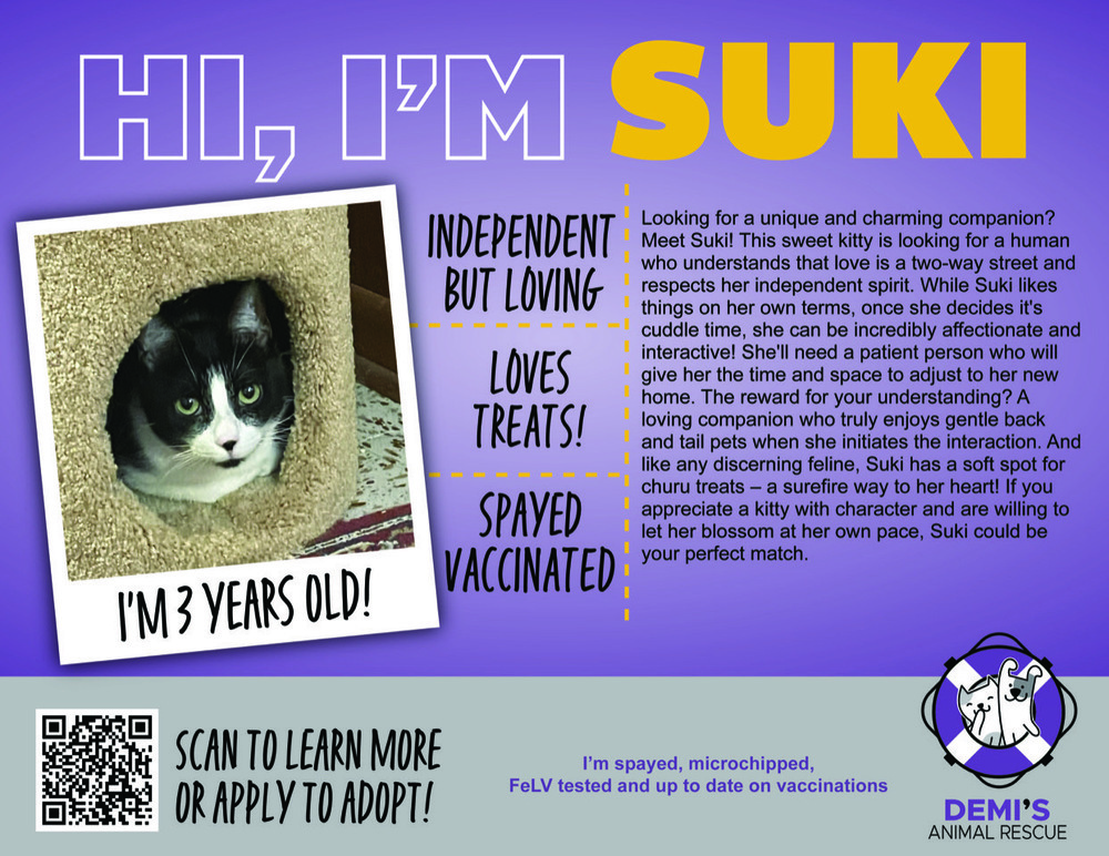 Suki, an adoptable Domestic Short Hair in Aurora, CO, 80016 | Photo Image 6