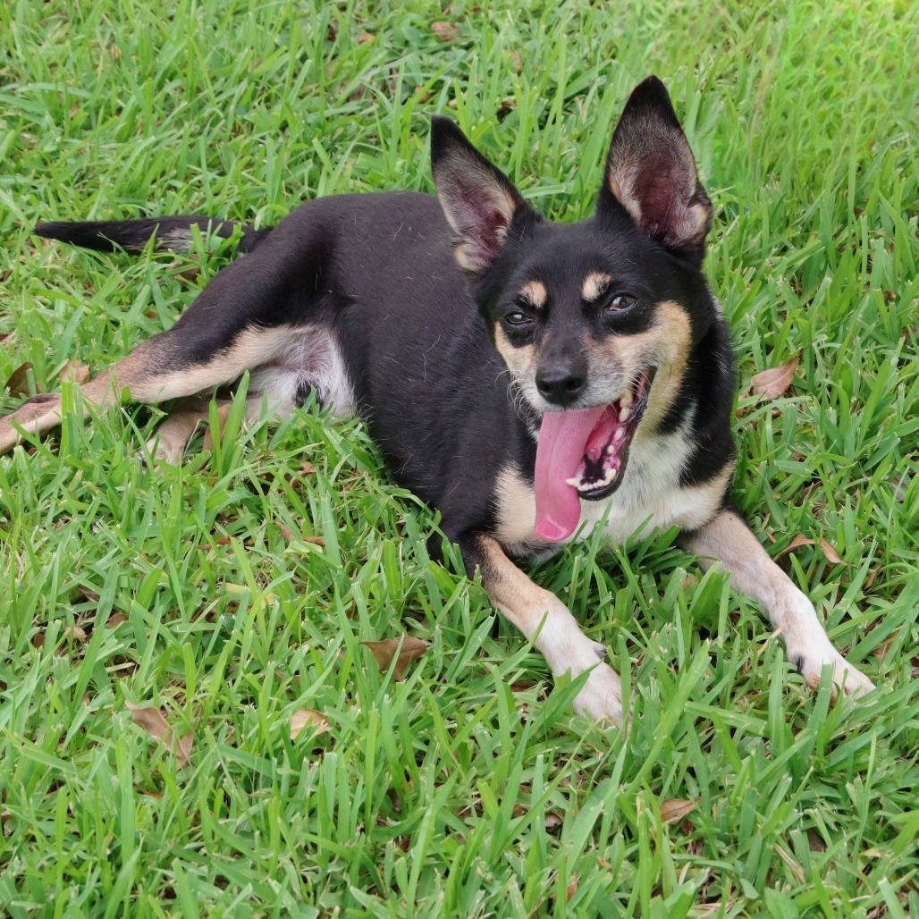 Tito
