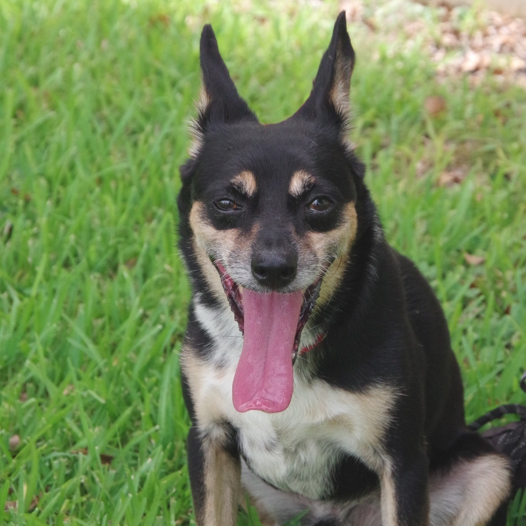 Tito