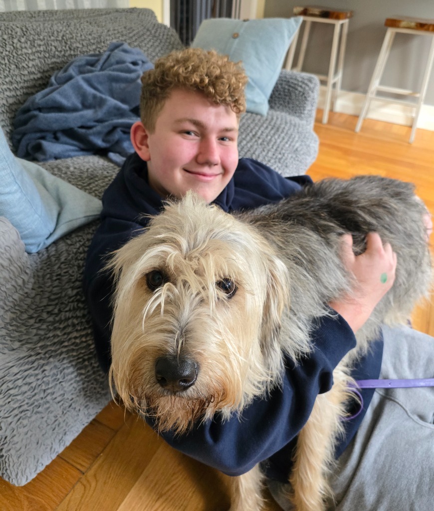 Scruffy - Local Dog in MA