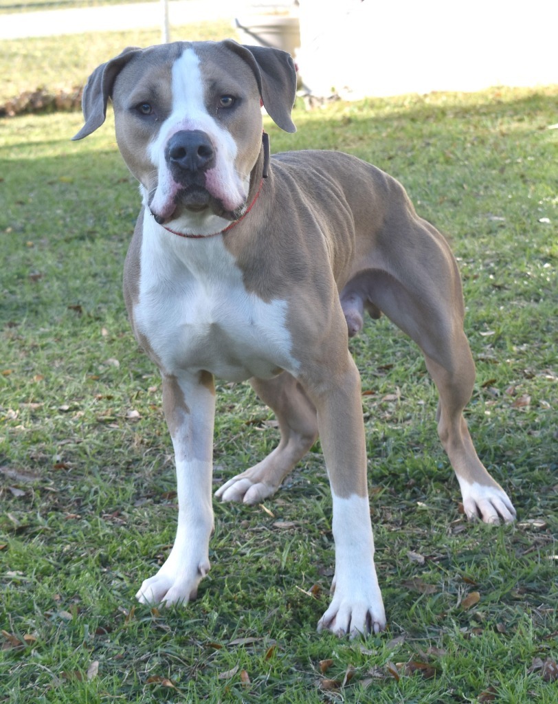 Max