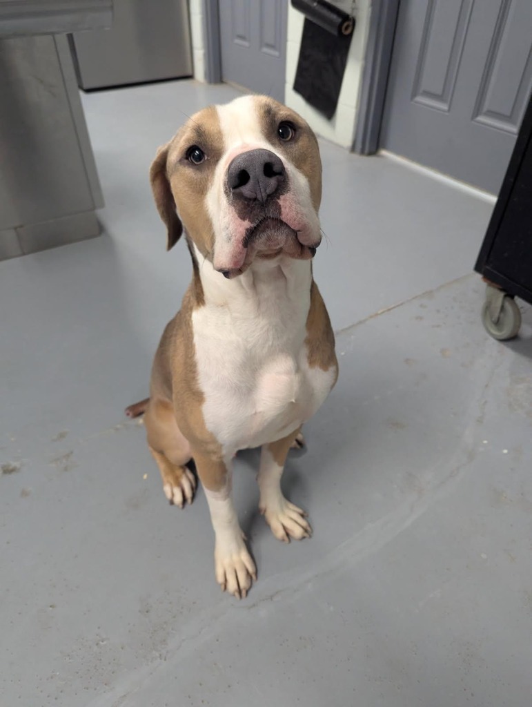 Max