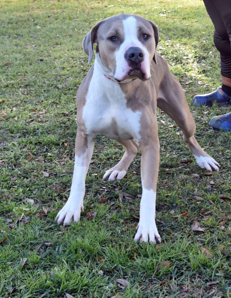 Max