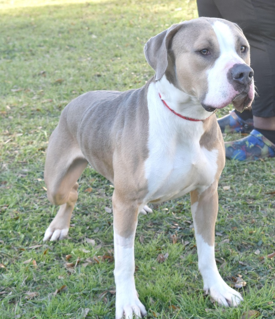 Max