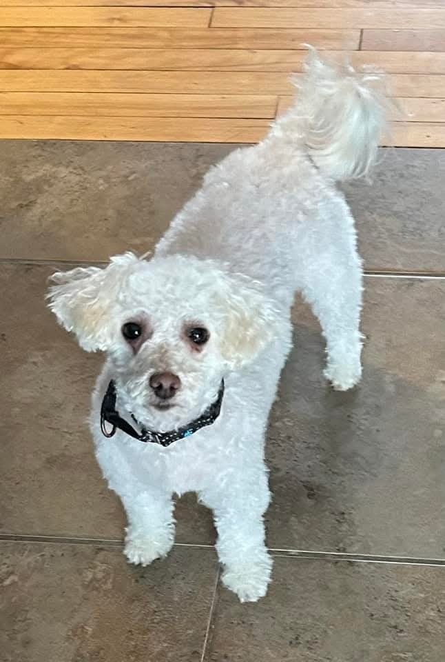Qtip