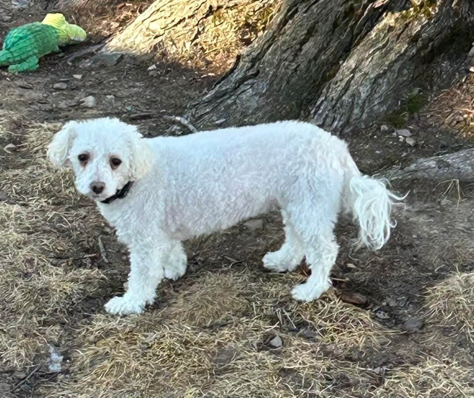 Qtip