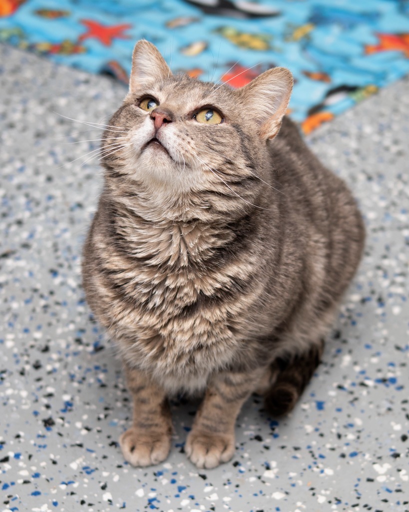 Benson