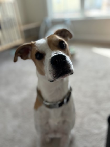 Kepler