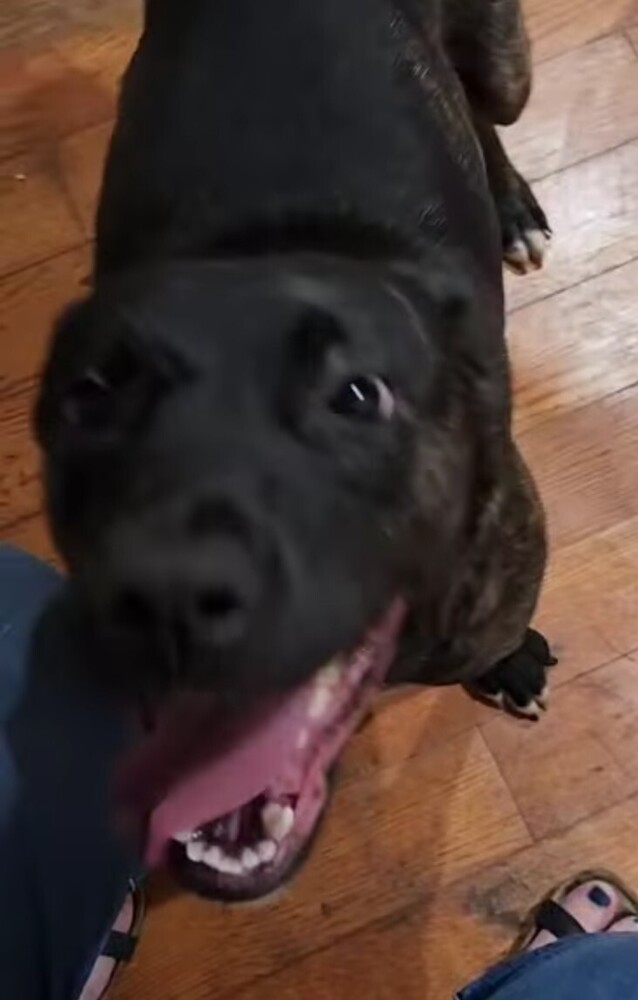 Chloe