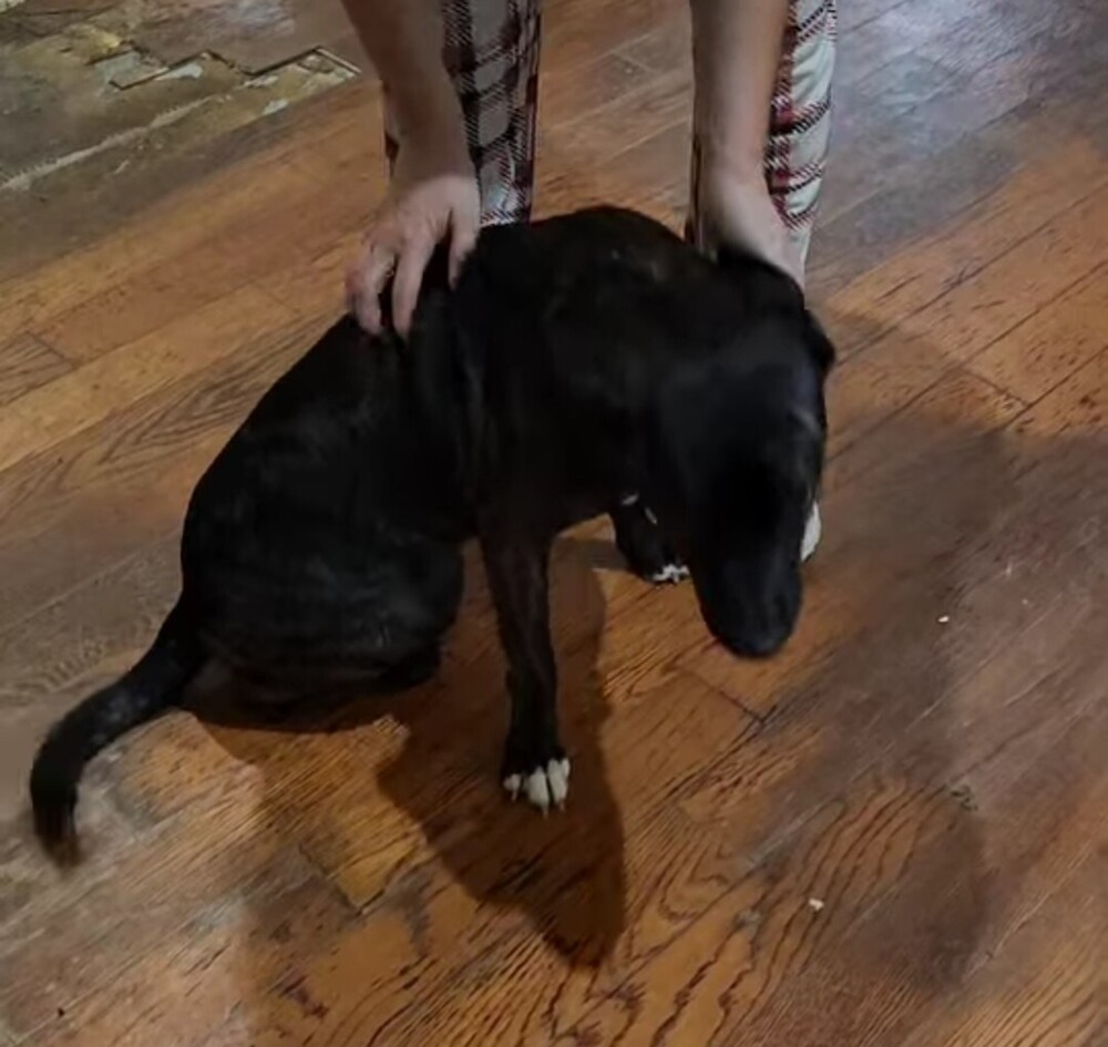 Chloe