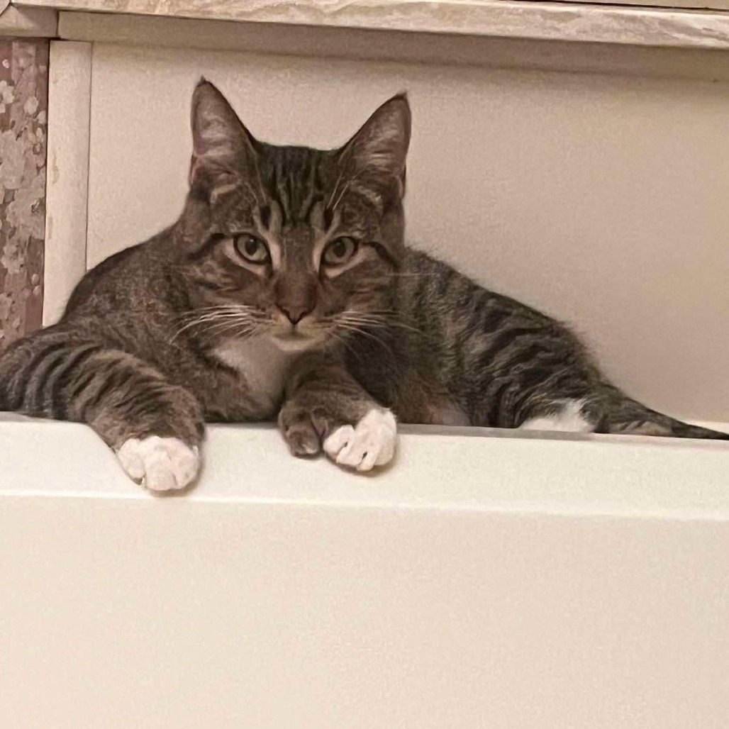 Rocky