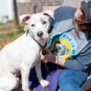 Mumpy - IN FOSTER