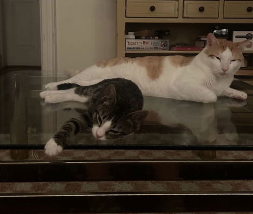 Tony and Ferris