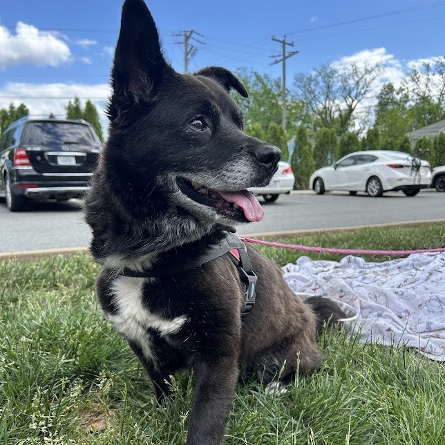 Duke