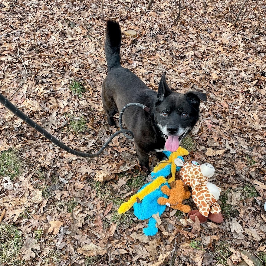 Duke