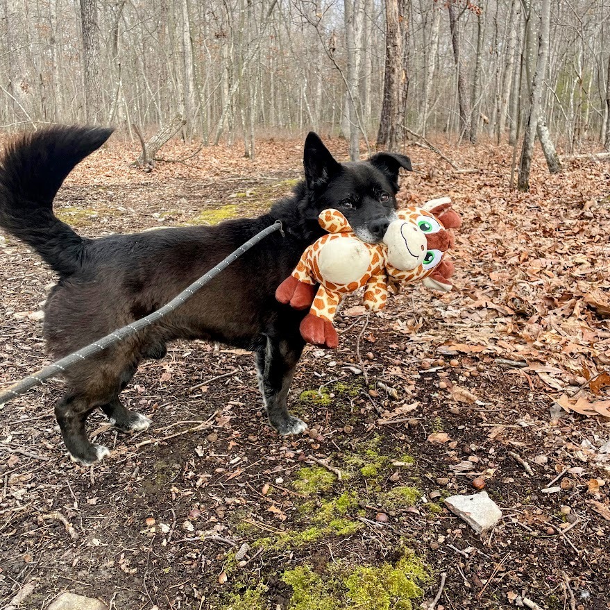 Duke