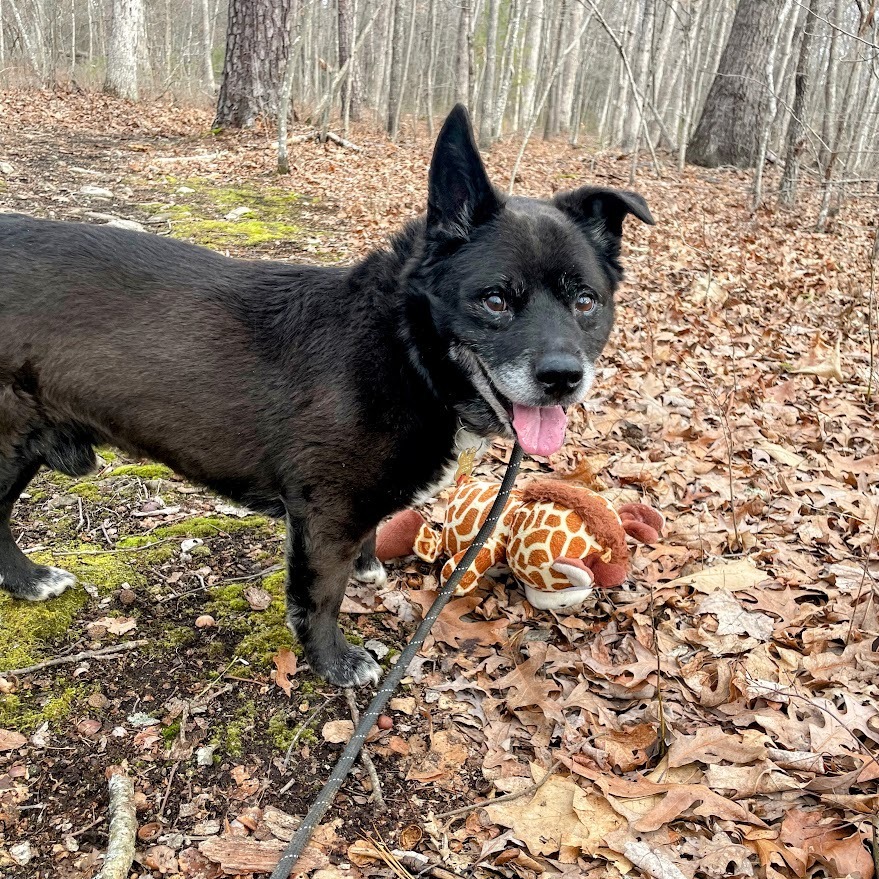 Duke