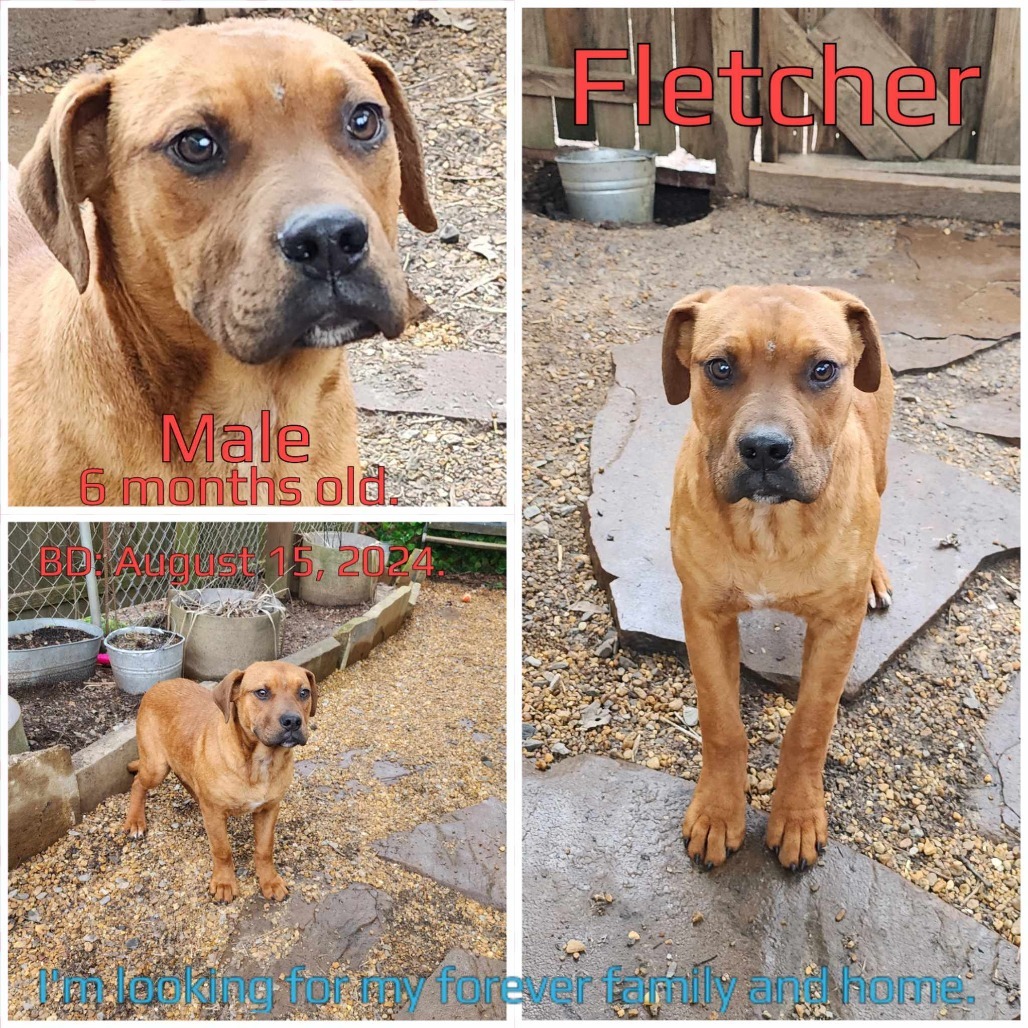 Fletcher