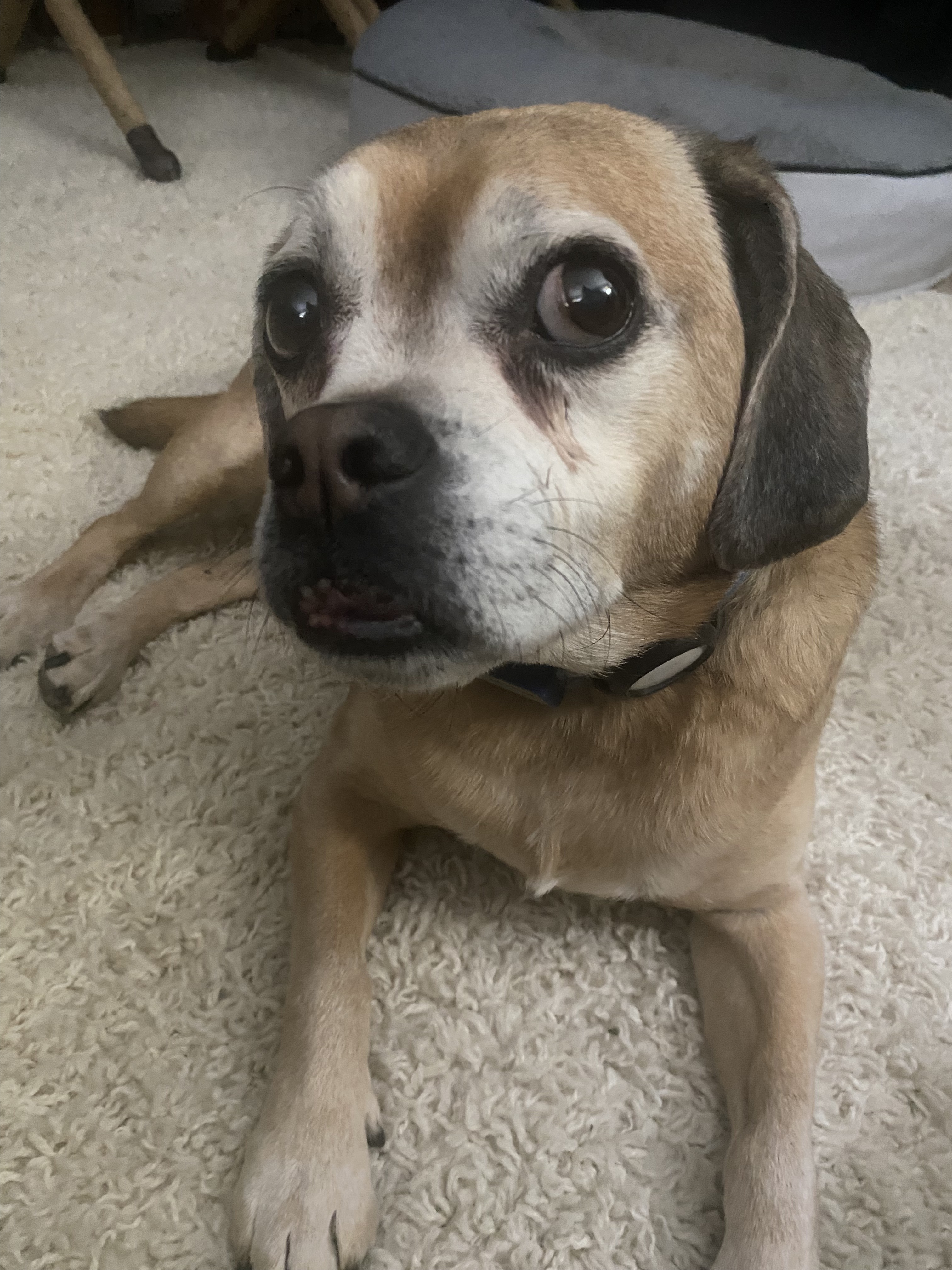 Jax