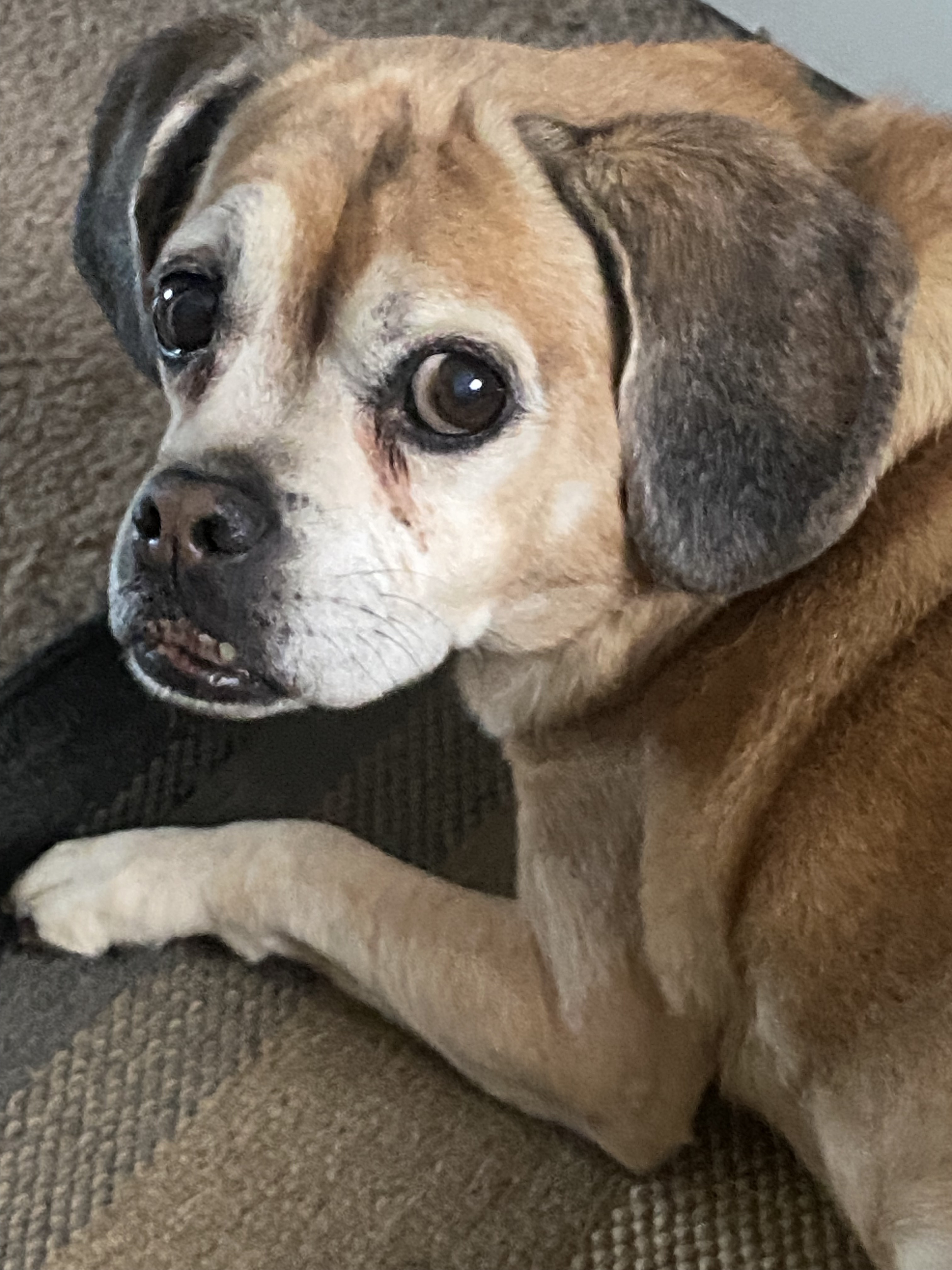 Jax