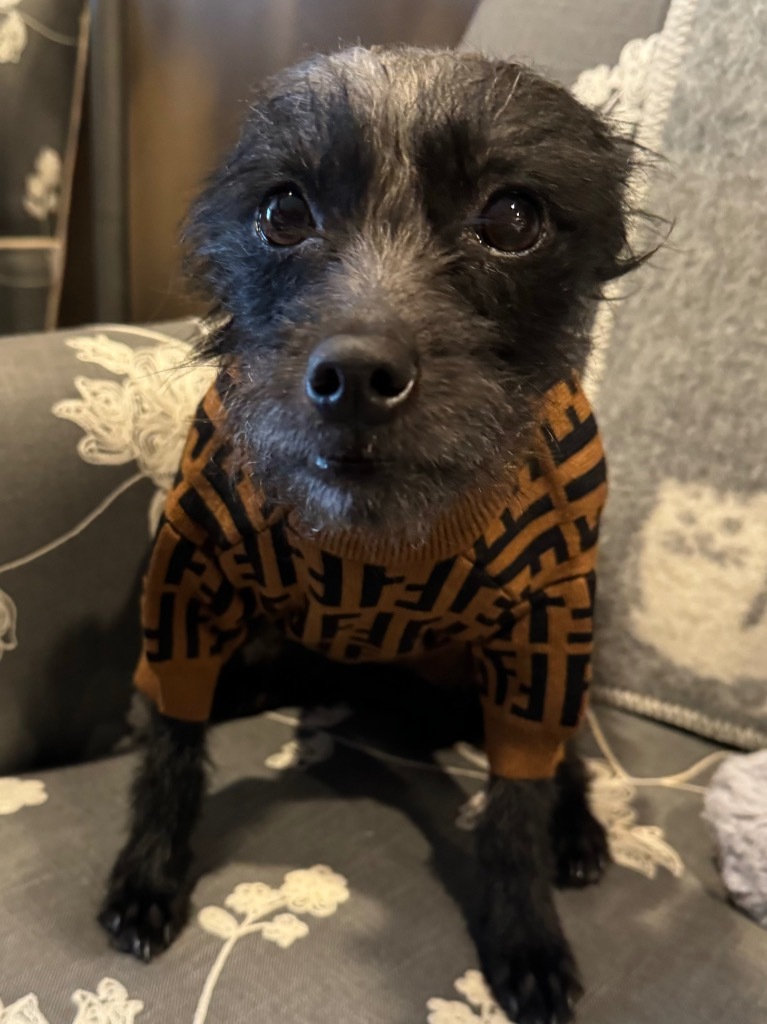 Zeekie