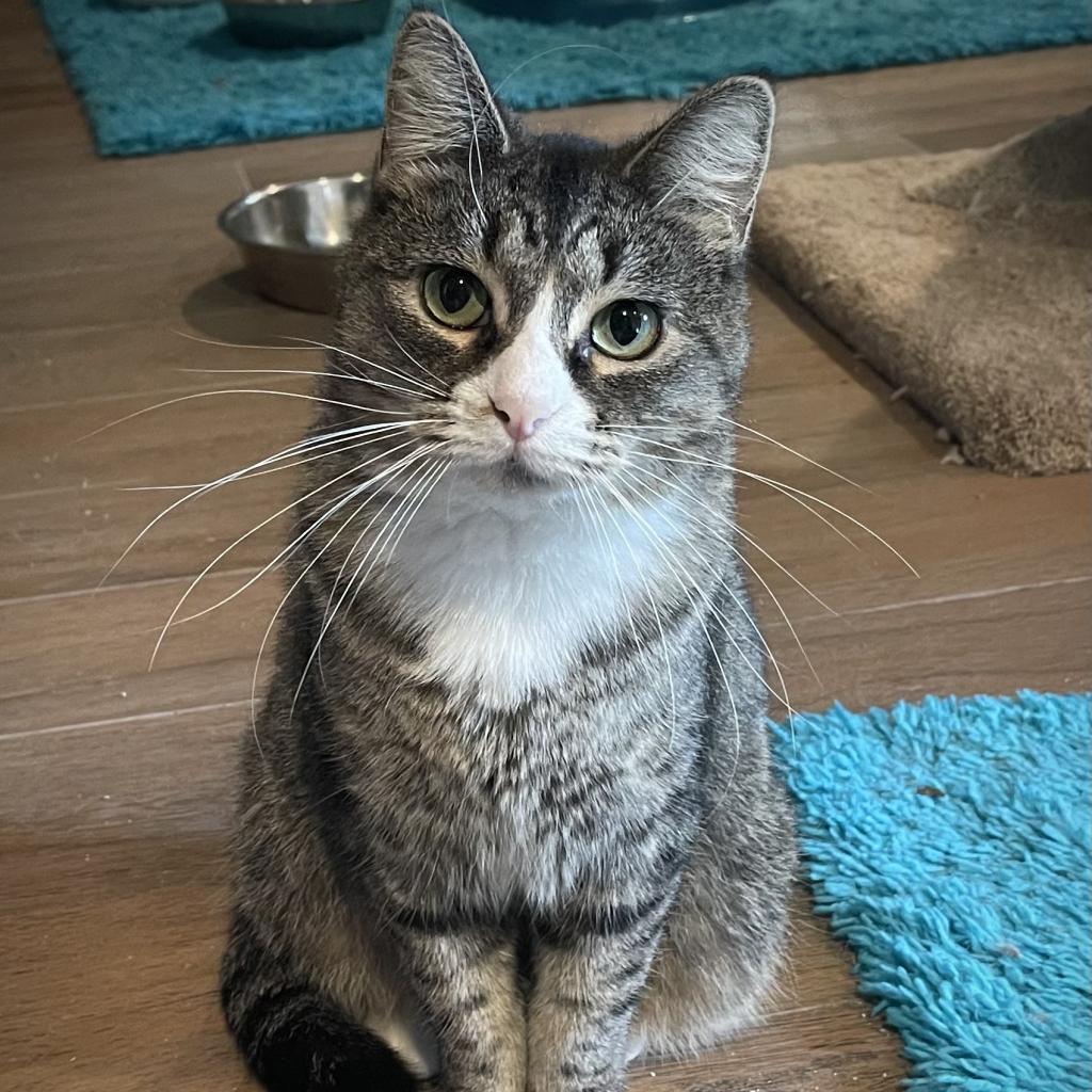 Penelope
