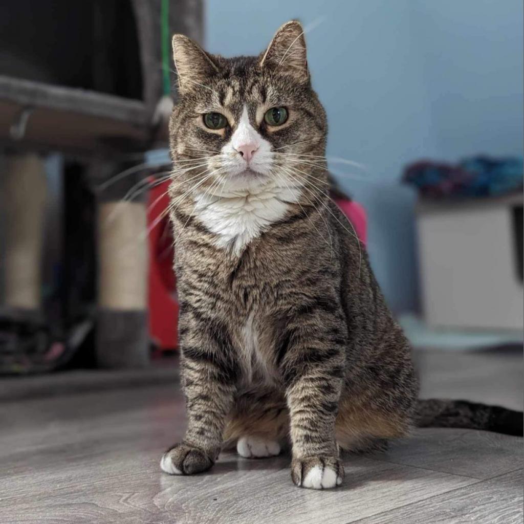Penelope