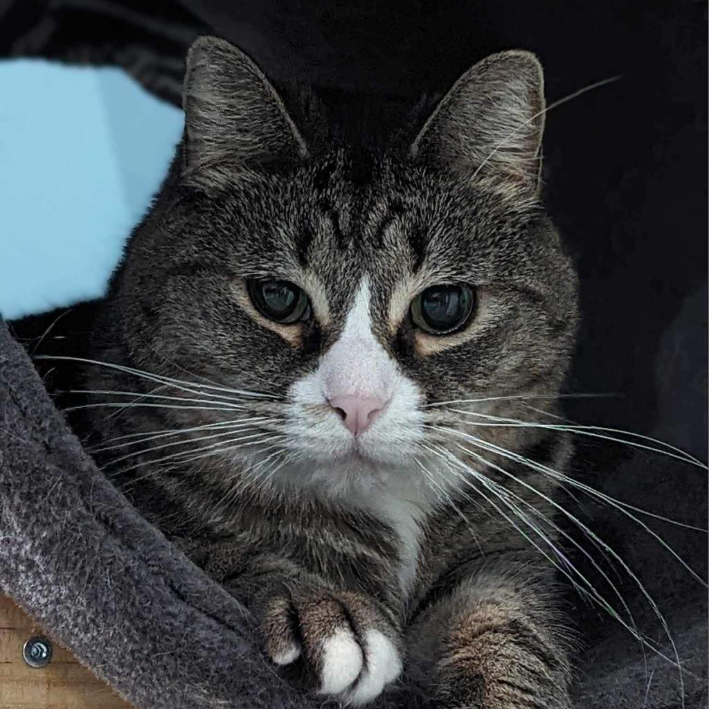 Penelope