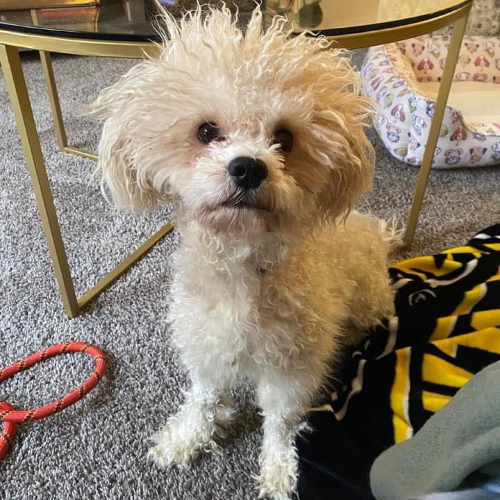 Einstein