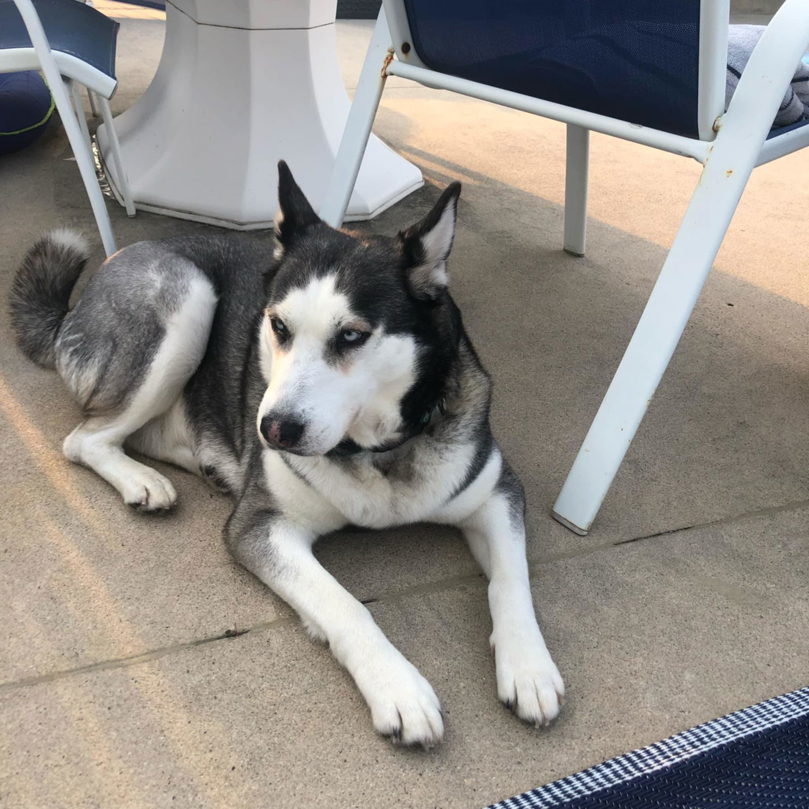 Suki