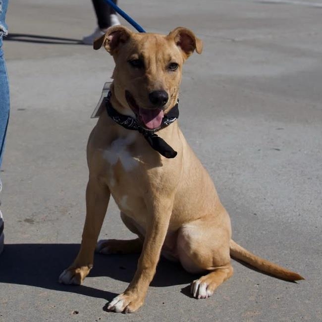 Athena - Adopted!