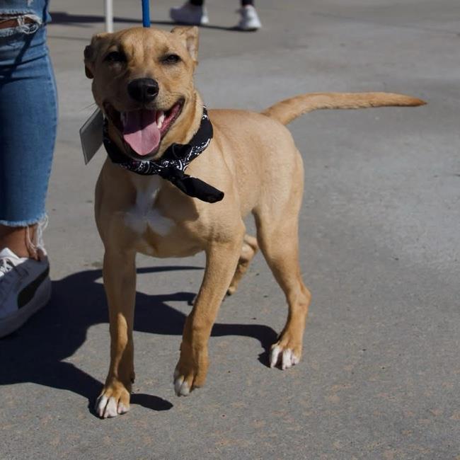 Athena - Adopted!